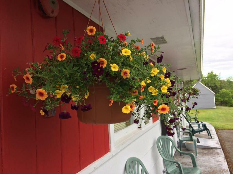 Webbers Lake Charlotte Motel Queen And Double Bed Εξωτερικό φωτογραφία